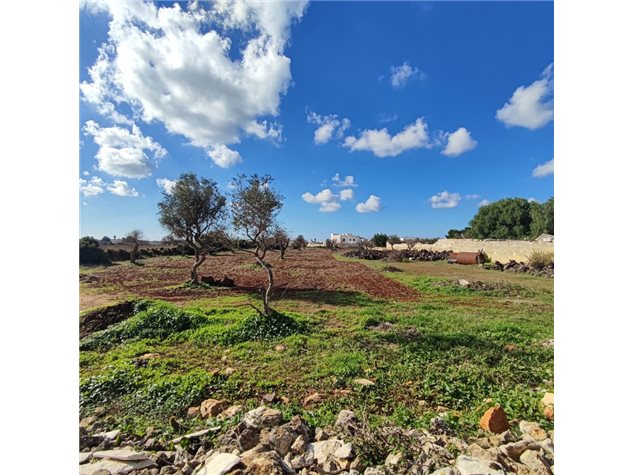 Ugento: Terreno edificabile in Vendita, Via Puglia , 1000