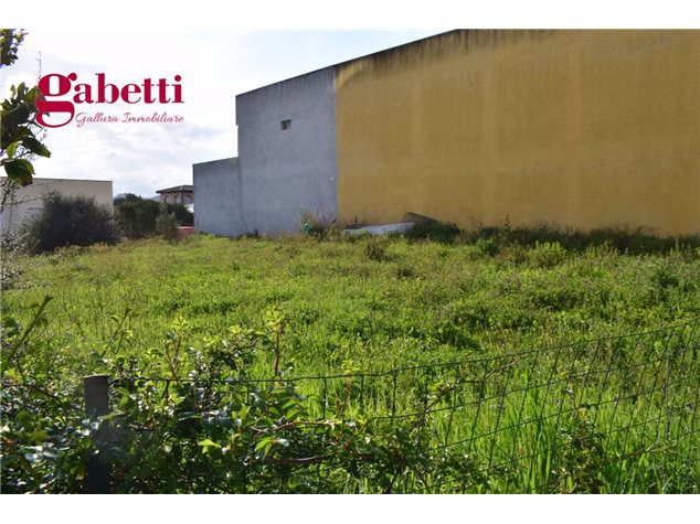 images_gallery Arzachena: Terreno edificabile in Vendita, Via  Gjaseppa Di Scanu, 100, immagine 5